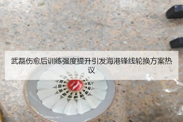 武磊伤愈后训练强度提升引发海港锋线轮换方案热议